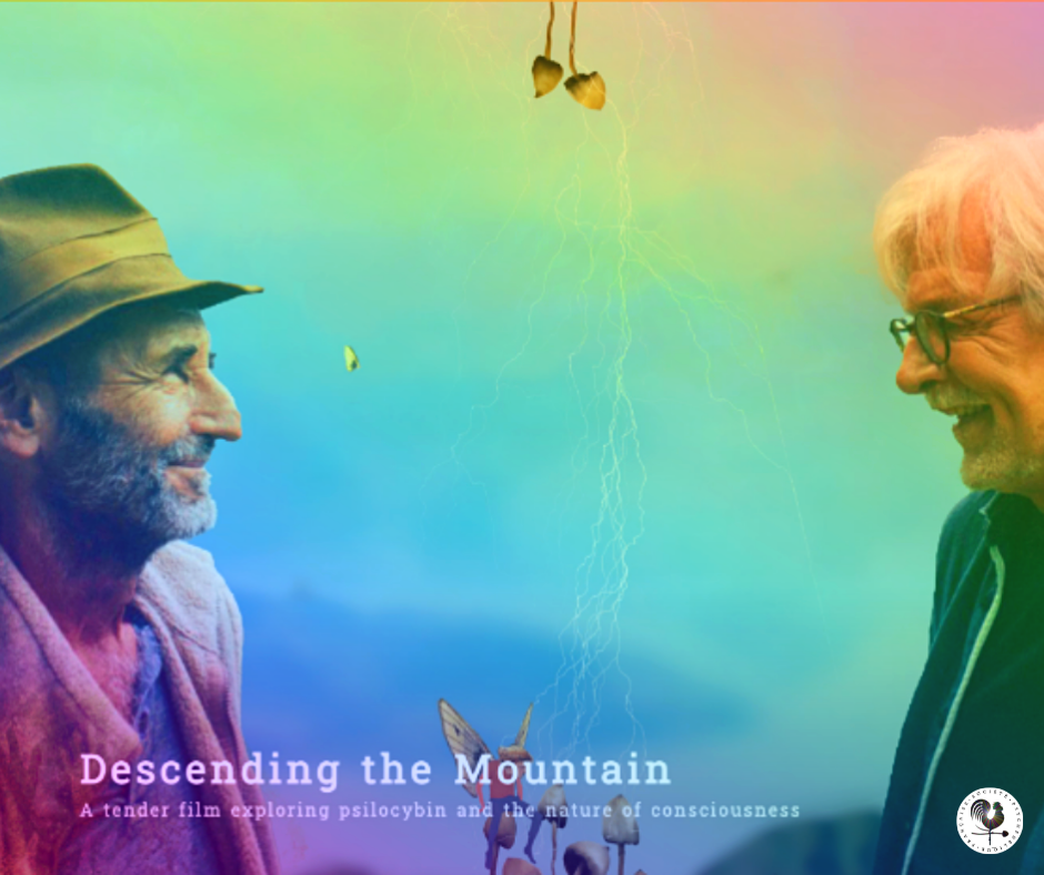 Descending%20The%20Mountain Descending%20The%20Mountain